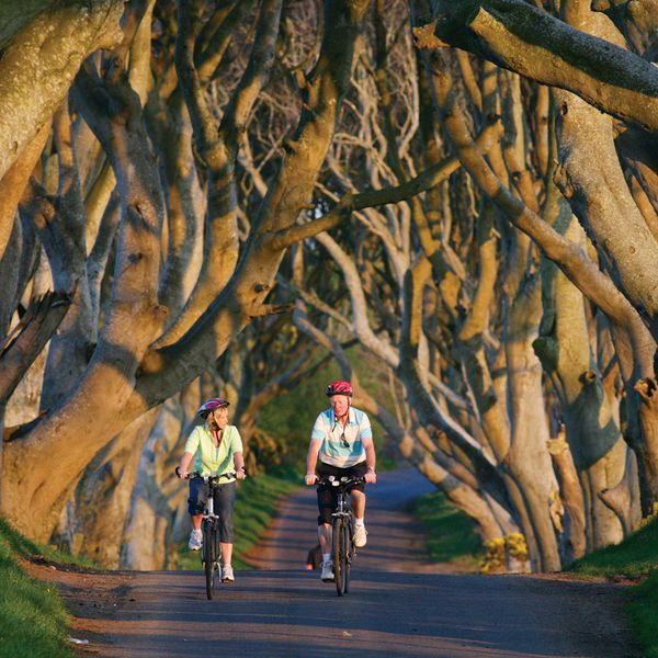 ierland-fietsen-dark-hedges.jpg