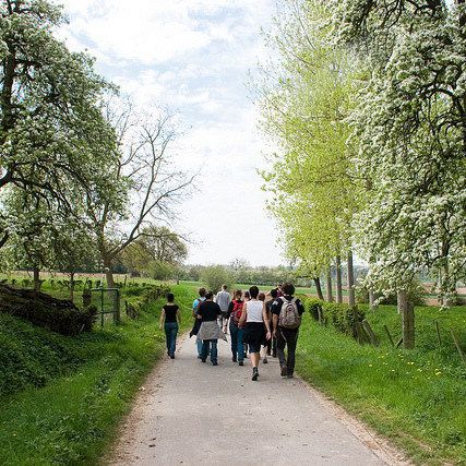 limburgalden-biesen.jpg